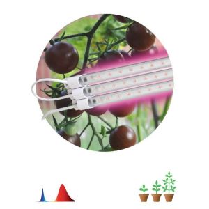 Светильник модульный для растений FITO-3х10W-LINE-RB90 30Вт красно-синего спектра ЭРА Б0050924